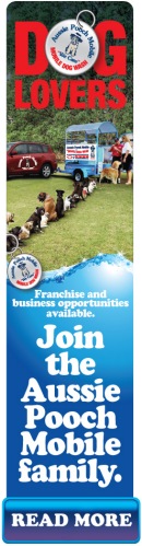 Dog wash employment opportunities