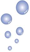 Aussie Pooch Mobile - Simply the best mobile dog wash utilising the technology of an industrial designed Hydrobath with heater and fresh water storage  tank.
