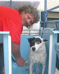 Aussie Pooch Mobile Dog wash and care specialist Kevin McFarlane hydrobathing a dog Aussie Pooch Mobile Dog wash and care specialist Kevin McFarlane hydrobathing a dog