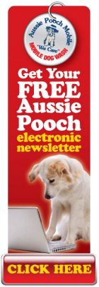 Pooch Mobile News - free newsletter!