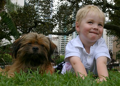 Reilly and Harry the assistance dog supported by Aussie Pooch Mobile