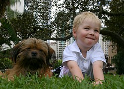 Reily and Harry the assistance dog supported by Aussie Pooch Mobile Reily and Harry the assistance dog supported by Aussie Pooch Mobile
