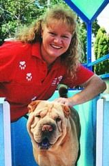 Aussie Pooch Mobile Dog wash and care specialistDebra Harris hydrobathing a dog Aussie Pooch Mobile Dog wash and care specialistDebra Harris hydrobathing a dog