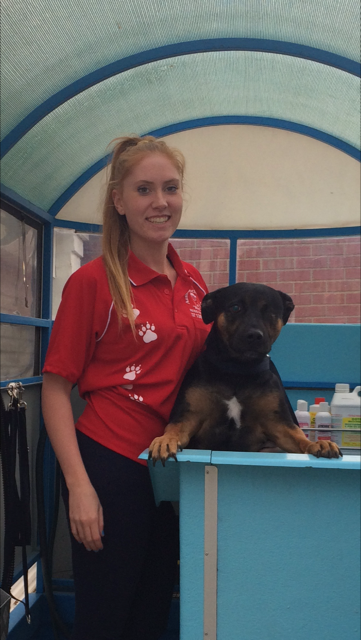 Pooch pampering services for Caroline Springs dogs