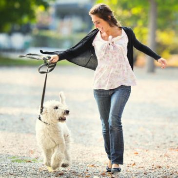 Things Dog Owners Should Have in Their Survival Kit