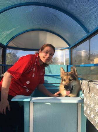 Pooch pampering services for Thornton dogs