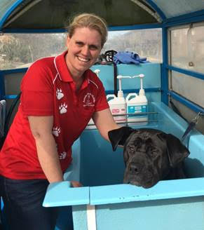 Mobile dog wash service for Cheltenham dogs