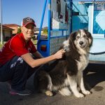 Brush dog hair deshedding shedding Aussie Pooch Mobile Mobie Hydrobath Easy Shed Service Dog Bath Hydrobath Brushing