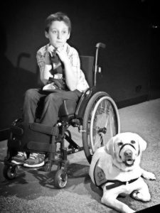 red assistance dogs puppies special kids special needs children aussie pooch mobile fundraising