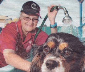 employment opportunities for over 55's franchise never retire job franchising mobile dog wash retire love what you do jobs with animals love dogs 
