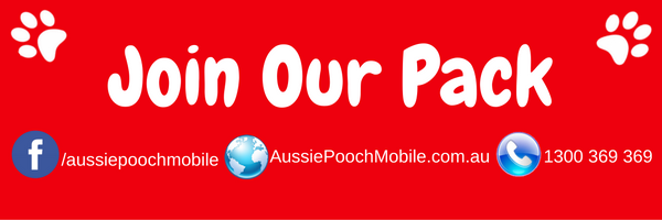 join our pack aussie pooch mobile dog wash and grooming franchising business love dogs