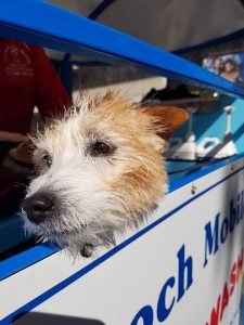 top advantages of franchising mpw aussie pooch mobile dog wash and grooming franchise franchising business 