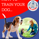 how to train your dog do training aussie pooch mobile pet care free ebook