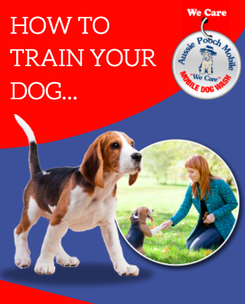 FREE eBook On Dog Training