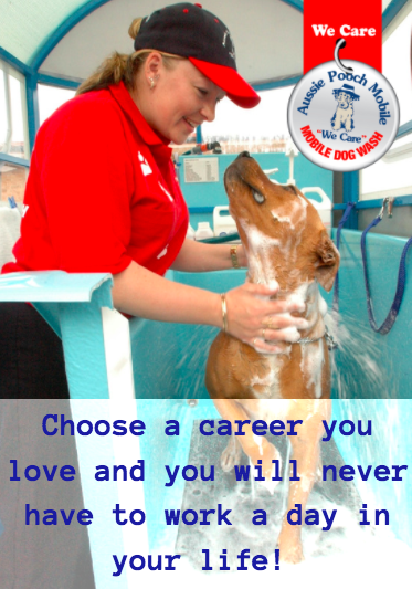 Career dog love