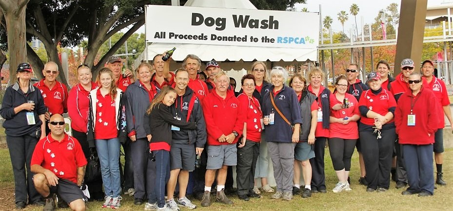 Aussie Pooch Mobile Sydney Million Paws Walk Animal Welfare