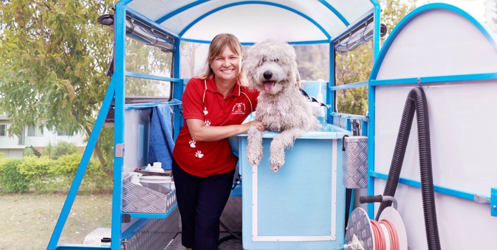 classic service standard service basic service aussie pooch mobile dog wash and grooming we care 