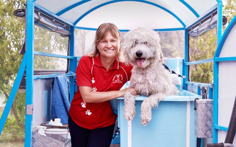 classic service standard service basic service aussie pooch mobile dog wash and grooming we care