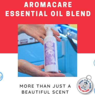 Aromacare- More than just a beautiful scent