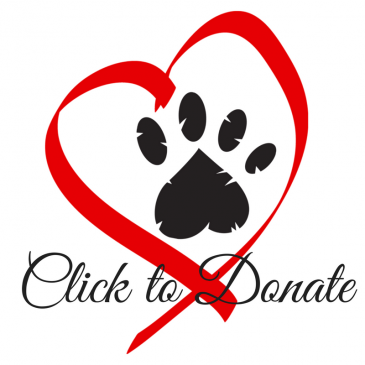 Animal charity- donate and give the gift of giving to your loved ones