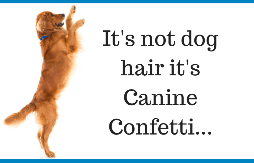 tips to reduce dog shedding