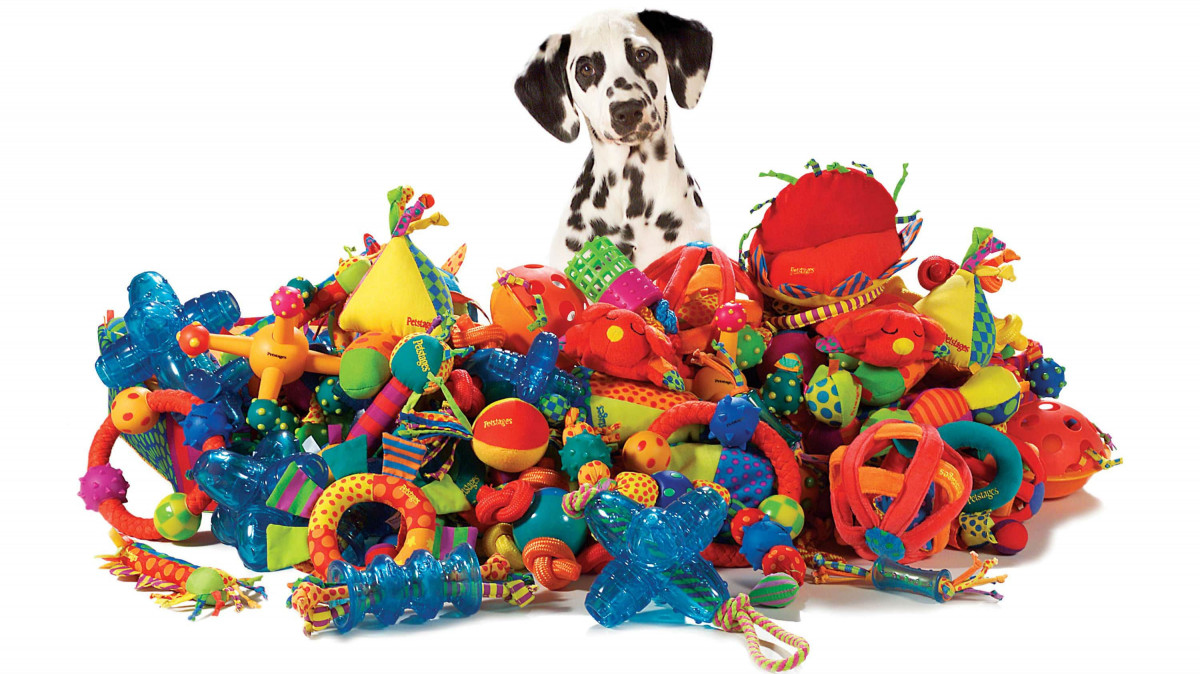 quality pet products for your dog dog toys