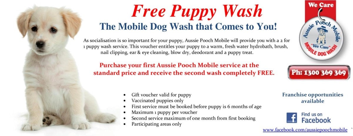 free 2 for 1 puppy wash voucher