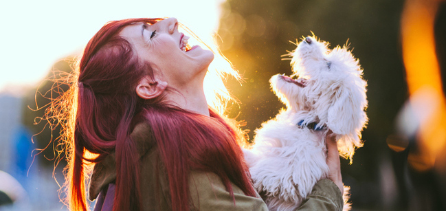 win big customer service award 2019 aussie pooch mobile dog wash