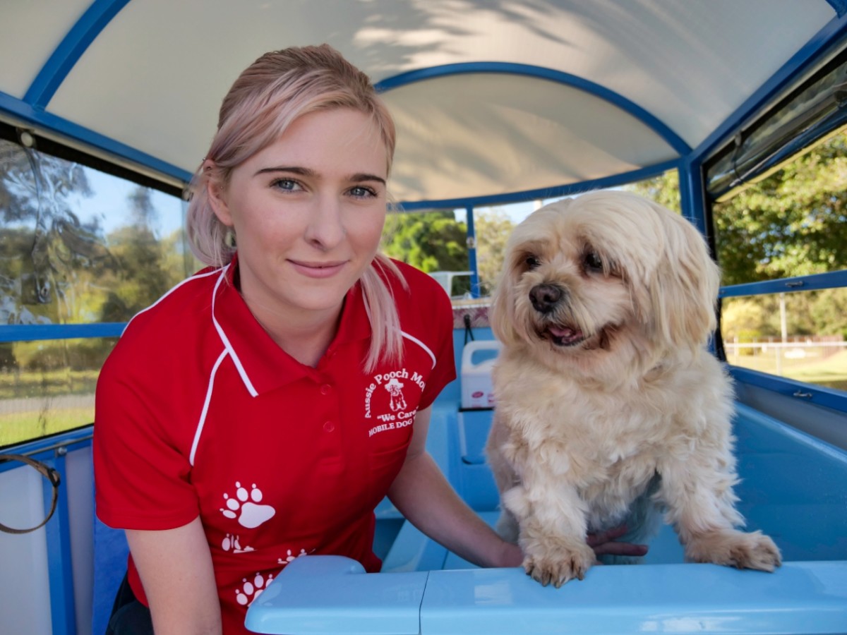 Dog Grooming Franchise Dog grooming franchise