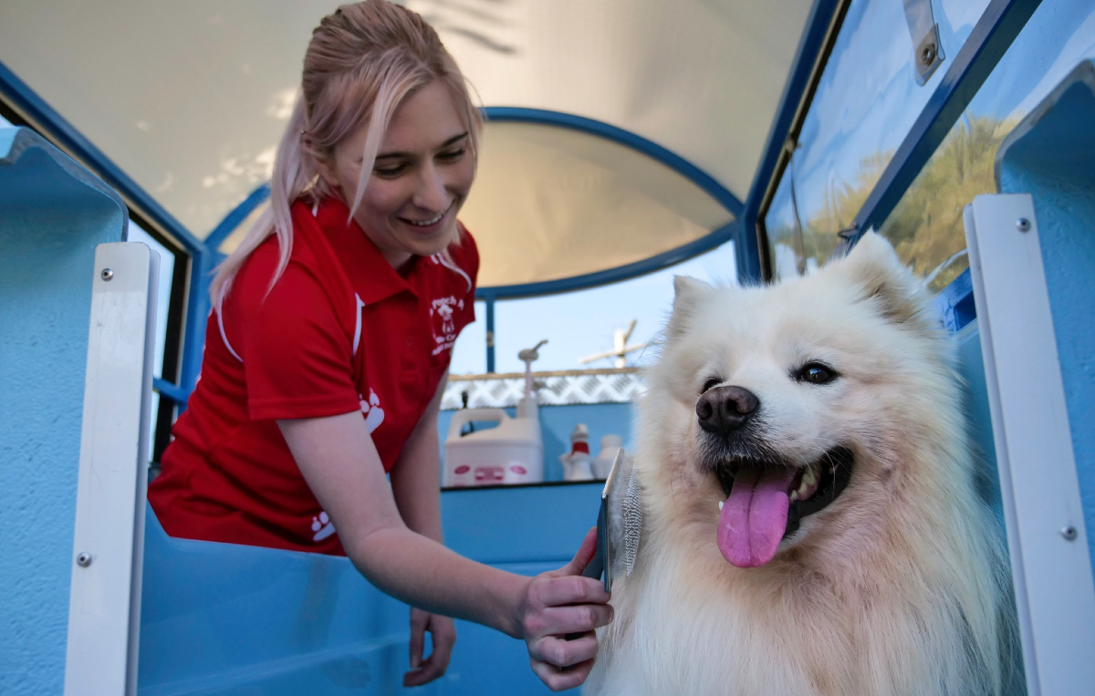 Mobile Dog Grooming - Furry Land Wilmington#1 Pet Care