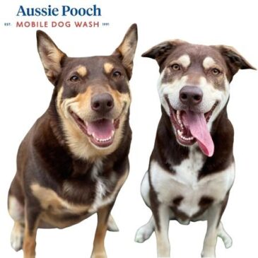 A testament to the Aussie Pooch Brand