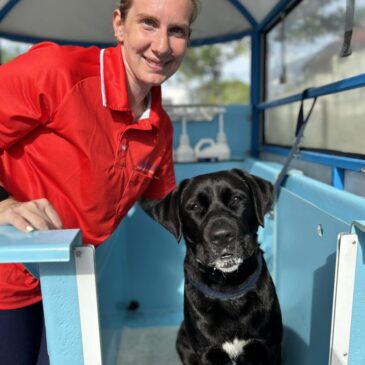 Aussie Pooch Mobile Dog Wash GRAND OPENING in Salamander Bay!